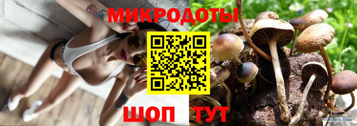 Псилоцибиновые грибы ЛСД Комсомольск-на-Амуре
