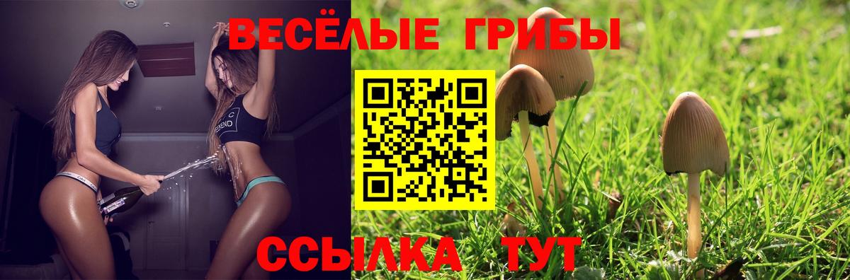 Комсомольск-на-Амуре  Псилоцибиновые грибы ЛСД  что такое   Вход с VPN 